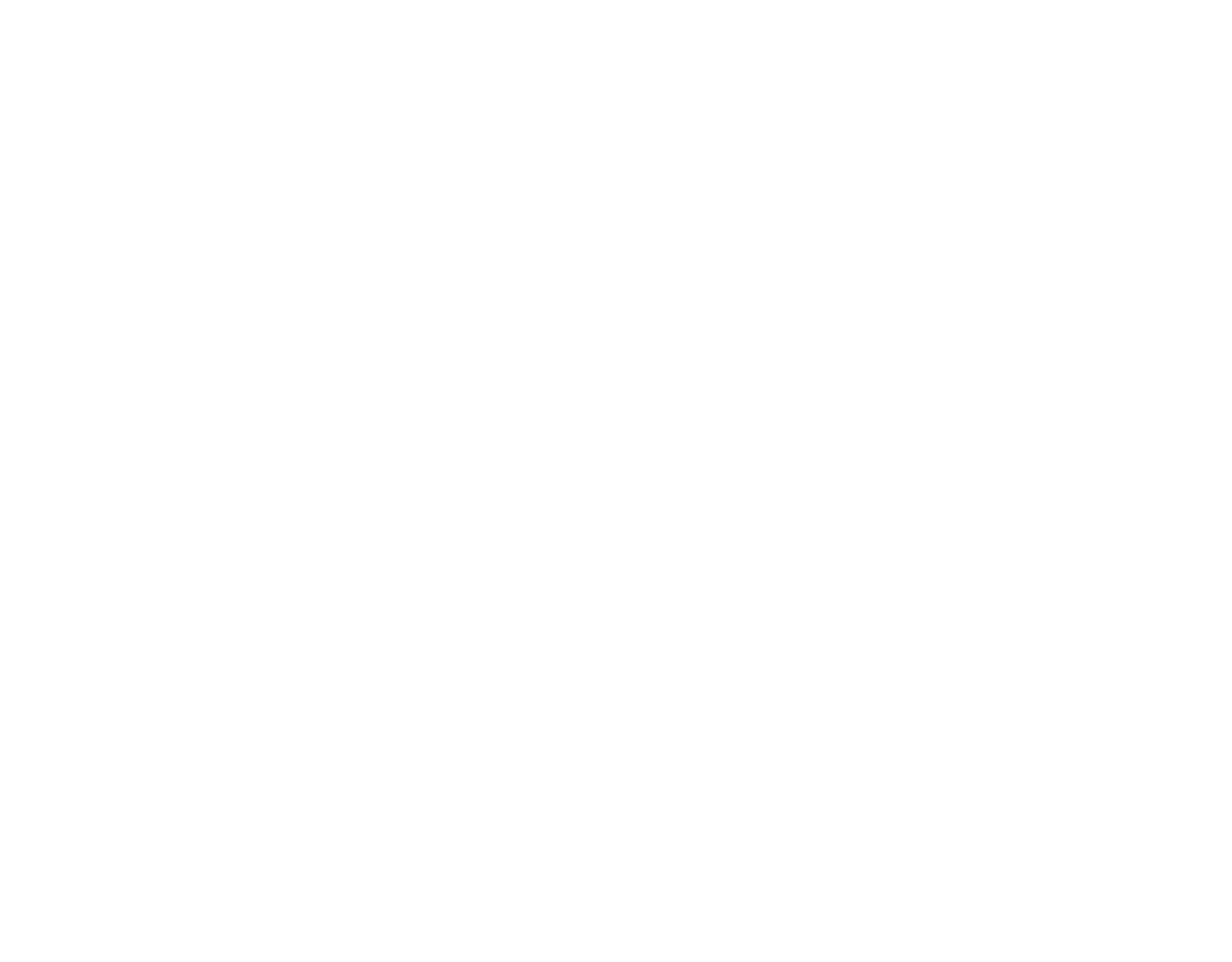 lion travel